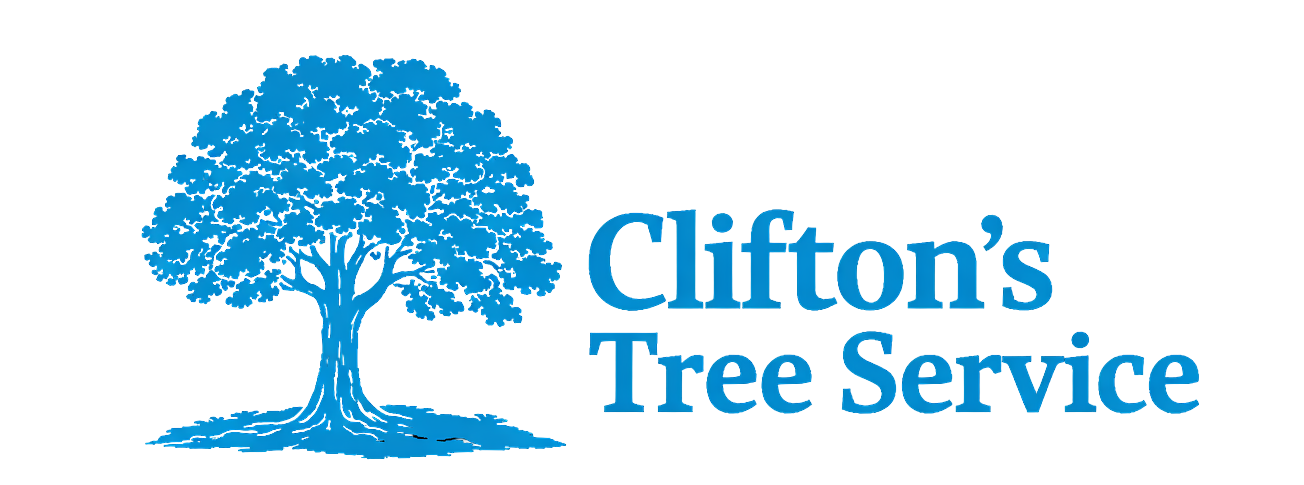 Blue tree logo with 
