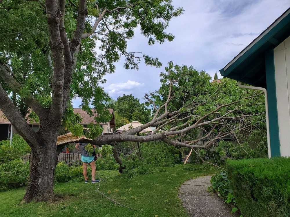 Orange stump grinder cutting a tree stump in a grassy yard, with wood chips flying.
