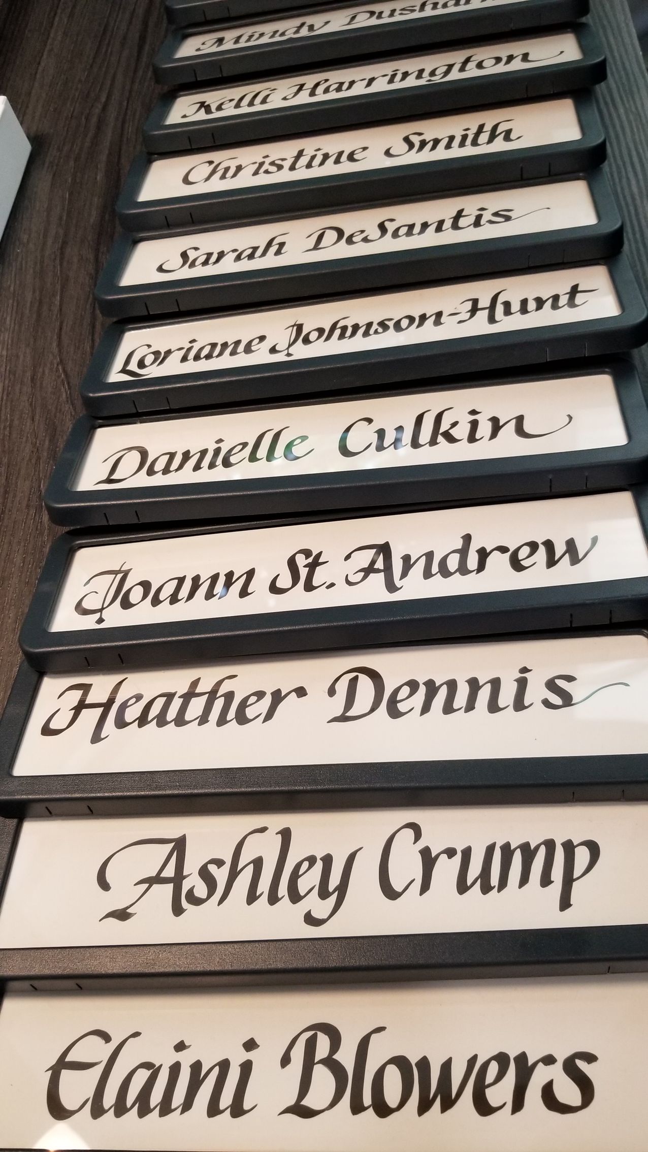 A row of plaques with names on them including ashley crump and elaine blowers.