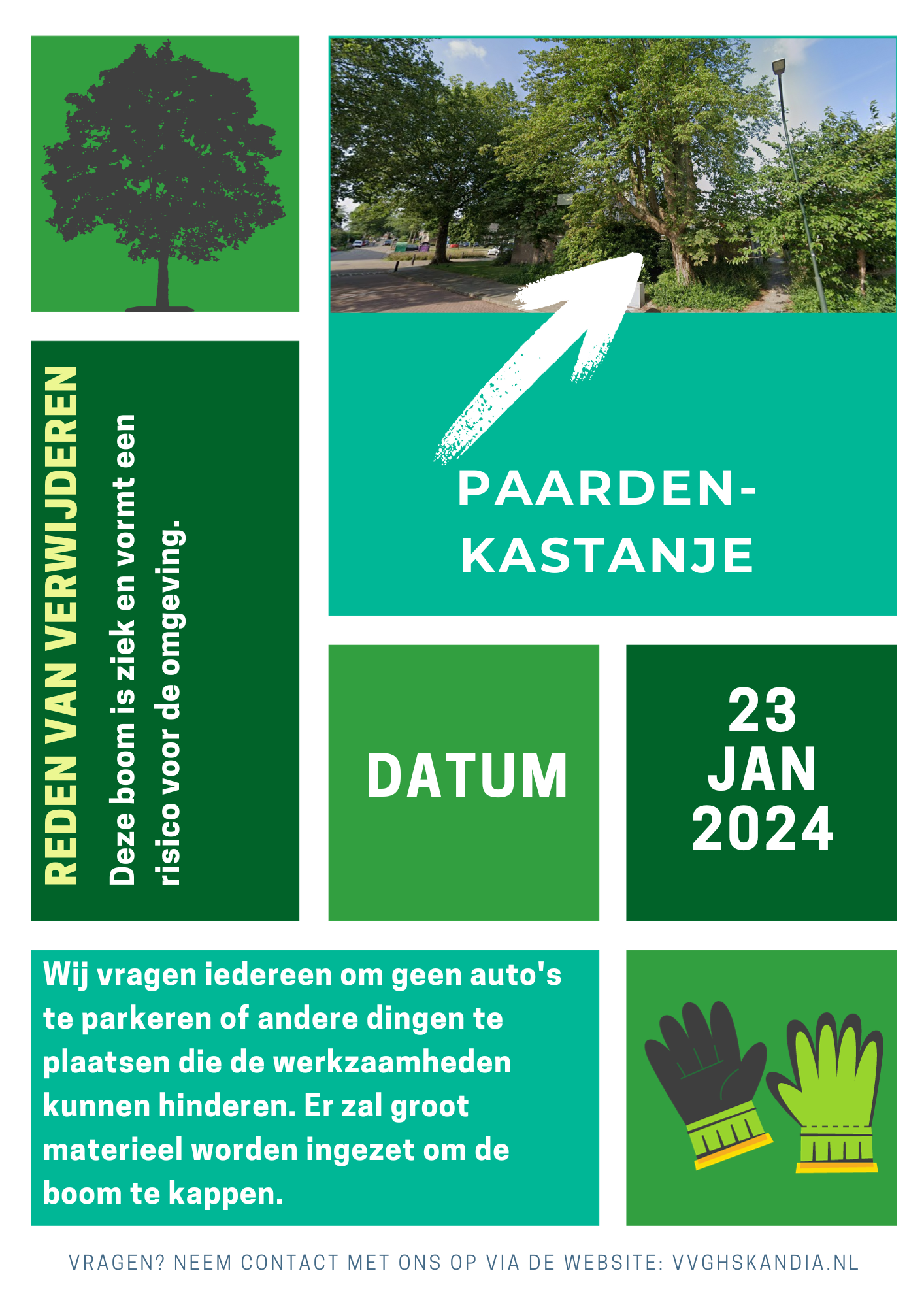 Verwijderen boom
