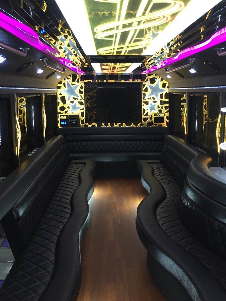 Passenger Party Bus
