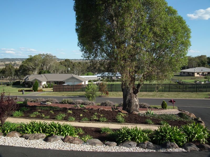 A tree in the middle of a residential area with houses in the background