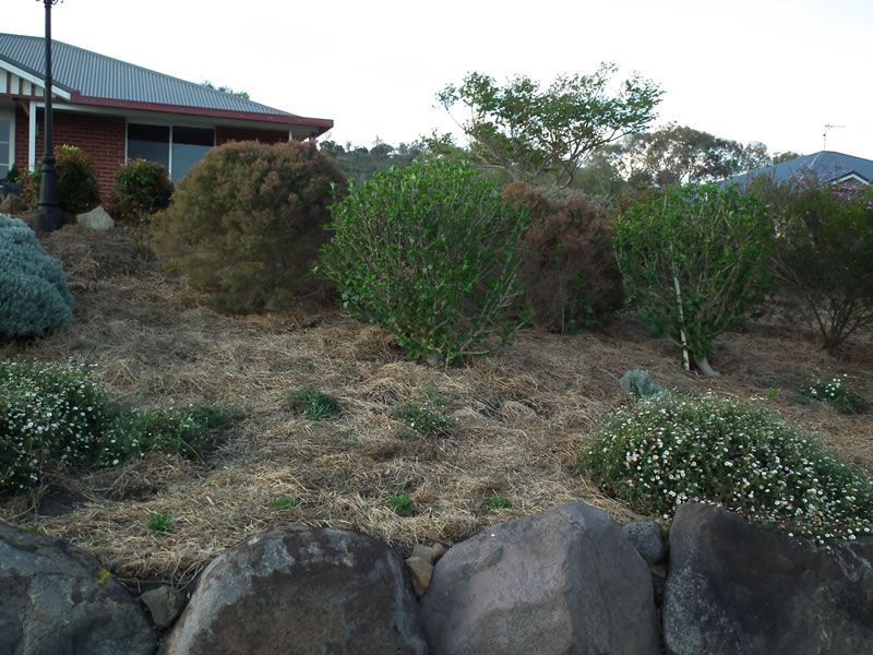 A house with a lot of rocks in front of it