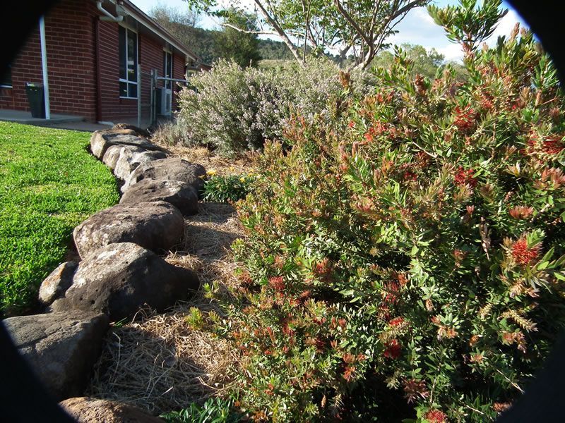 A bush with red flowers is in front of a brick house
