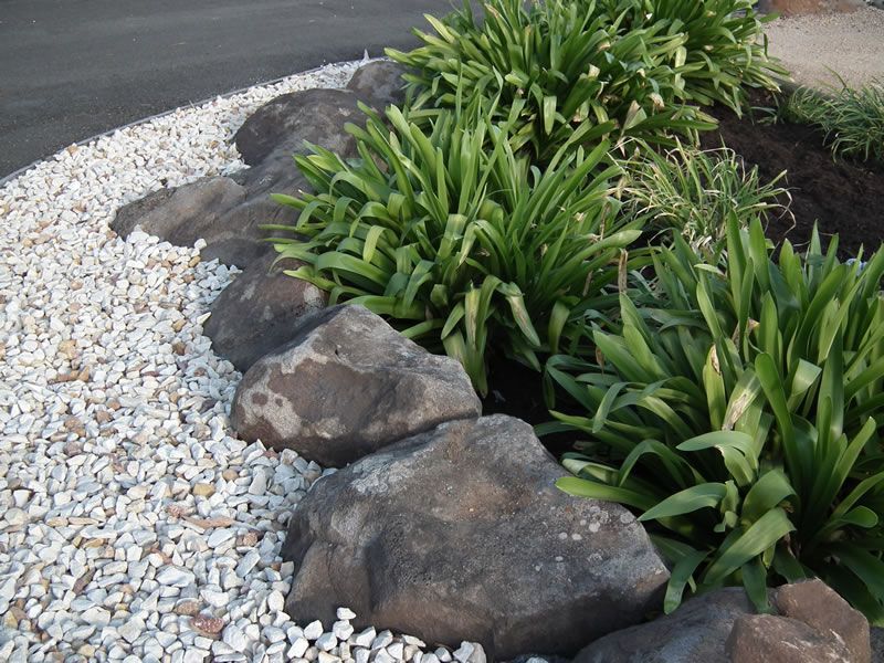 A garden with rocks and plants surrounding it