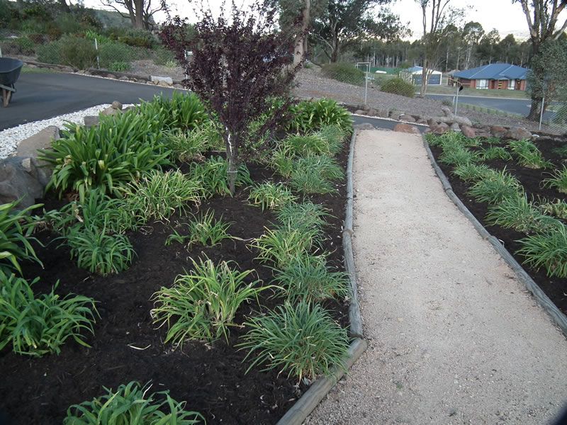 A path in a garden with a wheelbarrow in the background