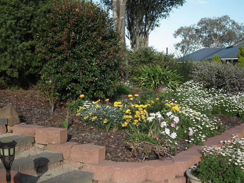 A garden with yellow and white flowers and a brick wall