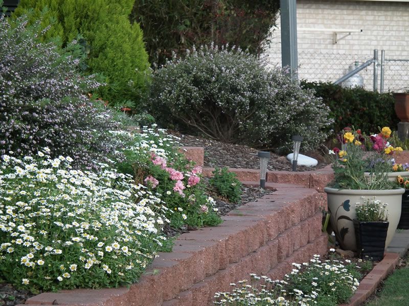 A garden with a brick wall and lots of flowers