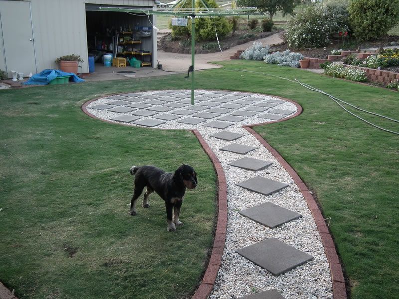 A dog standing on a path in a yard