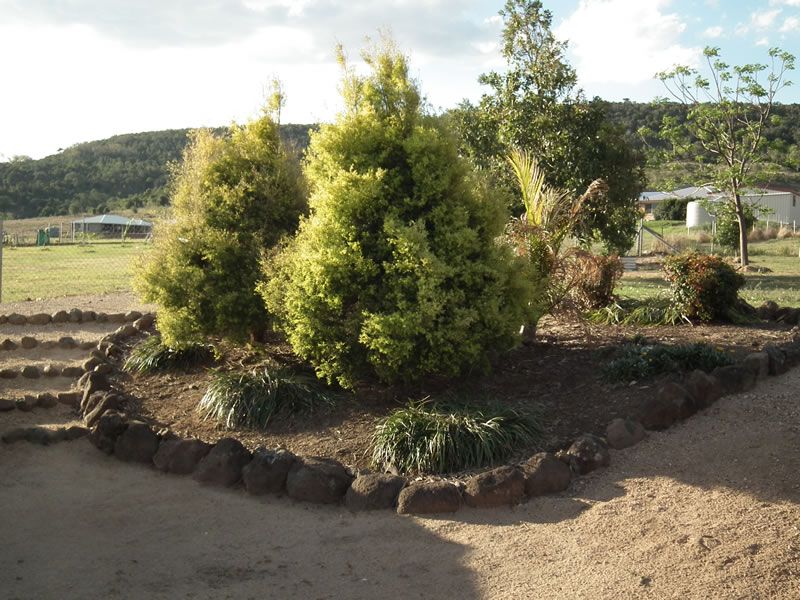 A garden with trees and stairs in the background