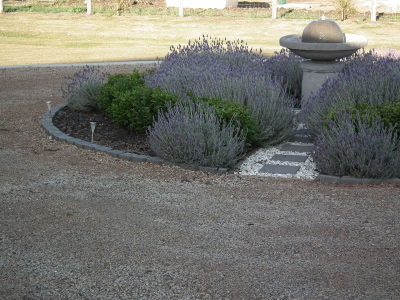 A garden with purple flowers and a fountain in the middle