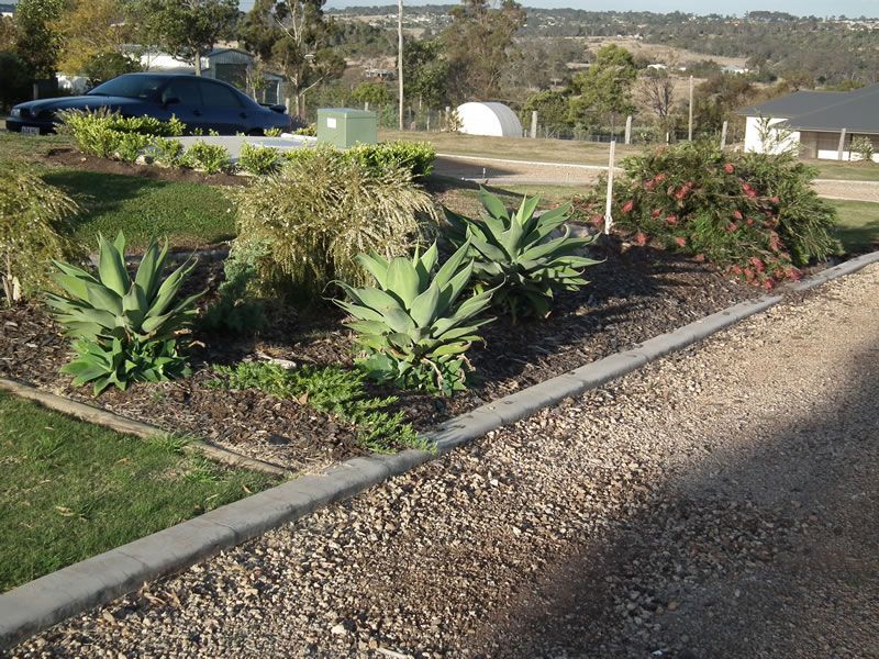 A gravel driveway with a few plants on the side