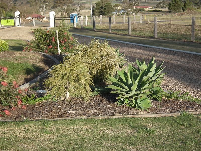 A garden with a fence and a road in the background