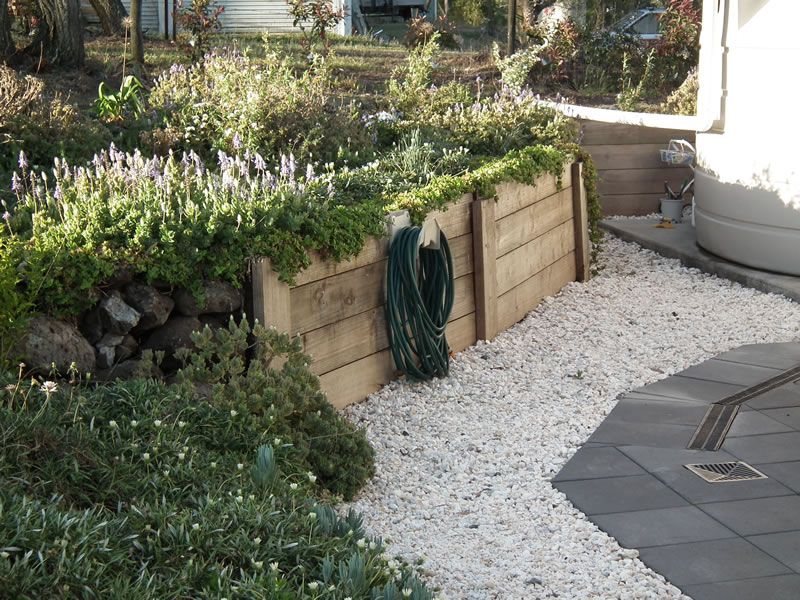 A hose is hanging from a wooden wall in a garden