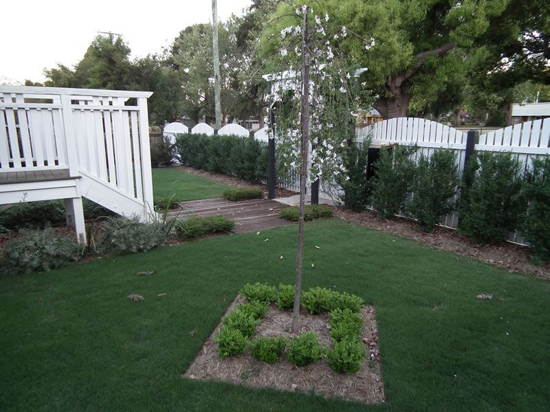 A lawn with a tree in the middle of it