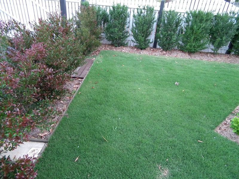 A lush green lawn with a white fence in the background
