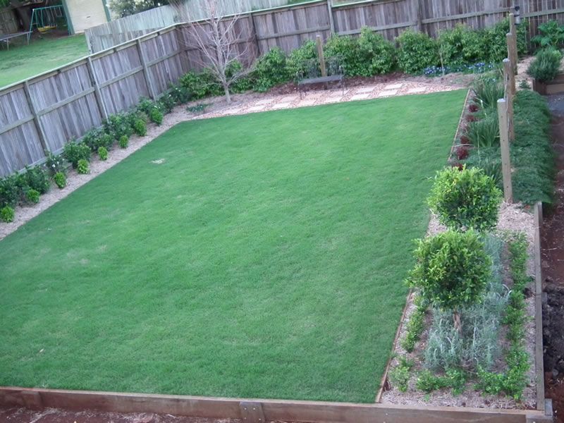 An aerial view of a lush green lawn with a wooden fence in the background.