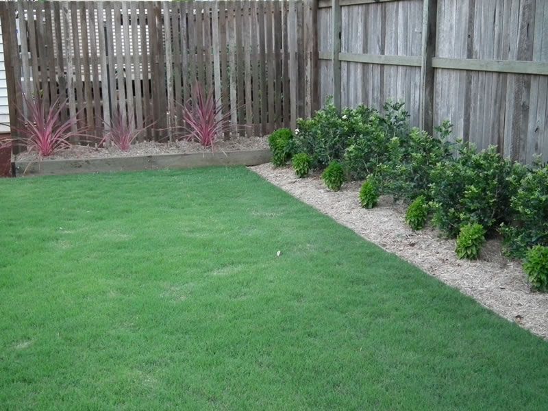A backyard with a wooden fence and a lush green lawn