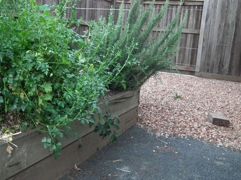 A wooden fence is surrounded by plants and gravel