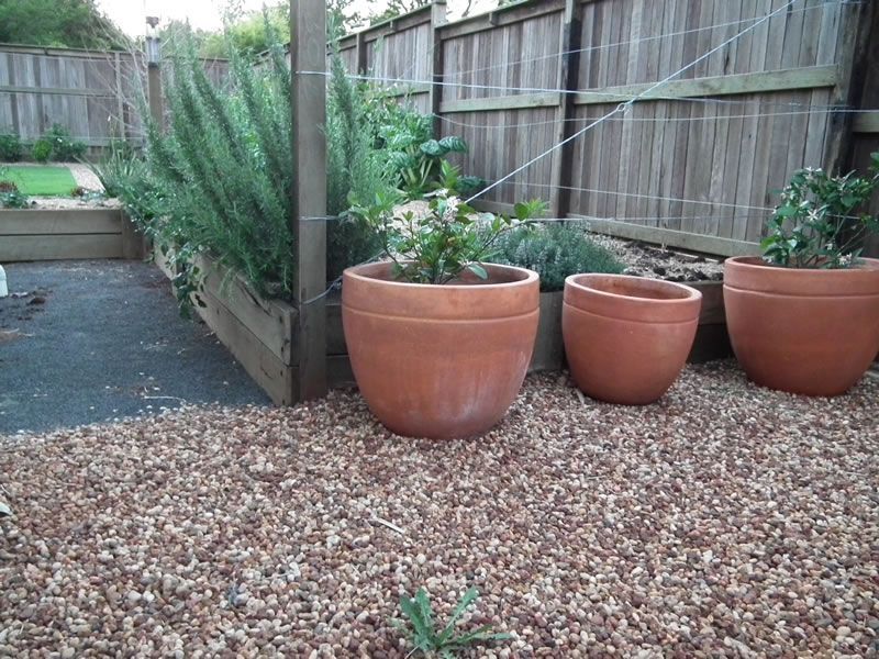 Three potted plants are sitting on gravel in front of a wooden fence