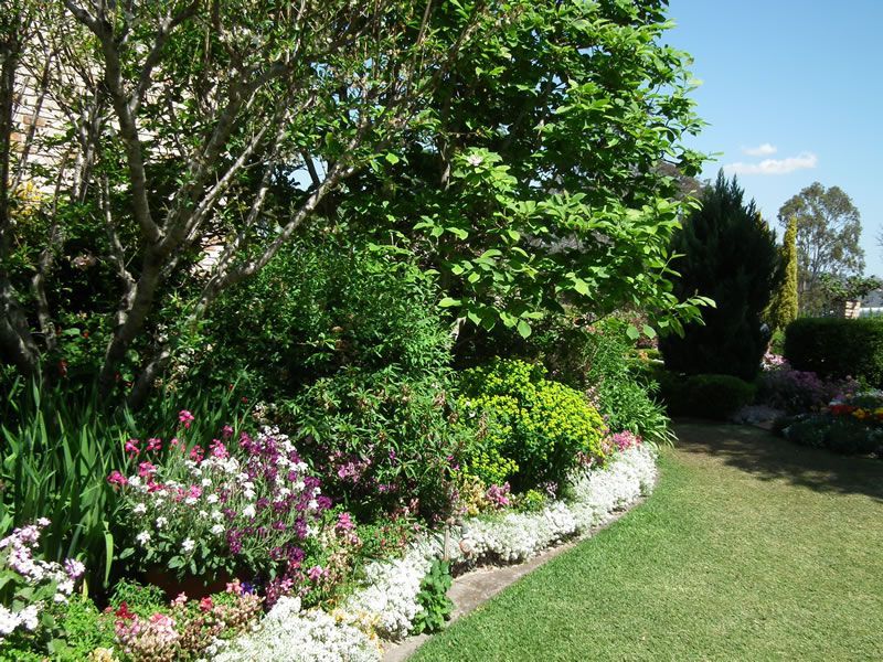 A garden filled with lots of flowers and trees