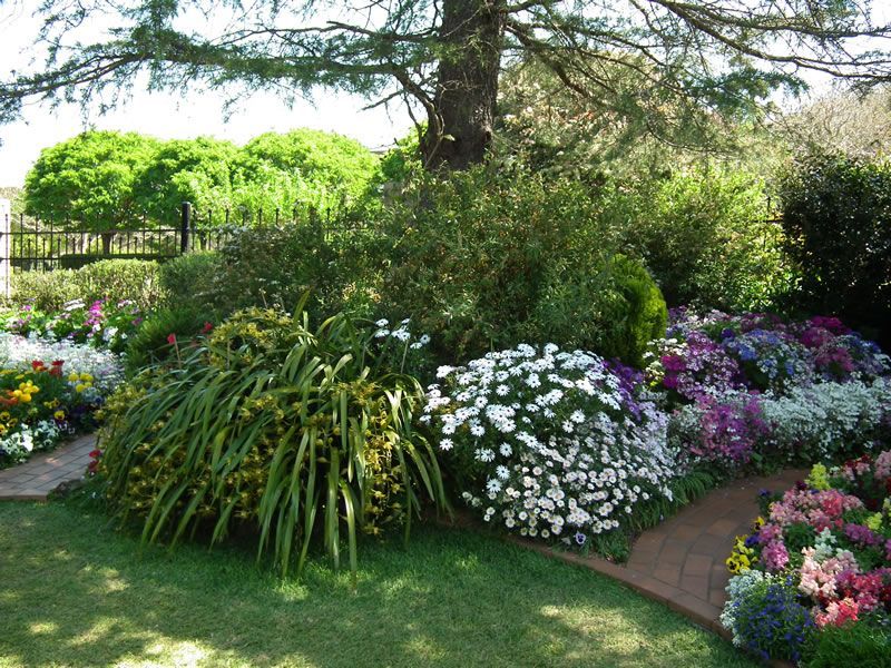 A garden filled with lots of flowers and trees