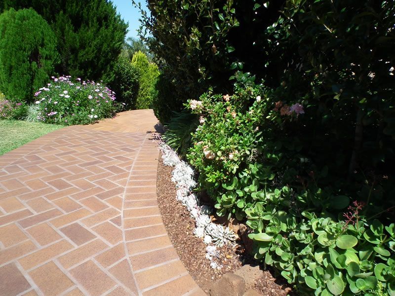 A brick walkway surrounded by trees and bushes in a garden