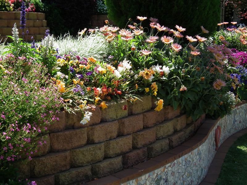 A brick wall with flowers growing on it