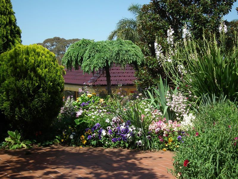 A garden filled with lots of flowers and trees