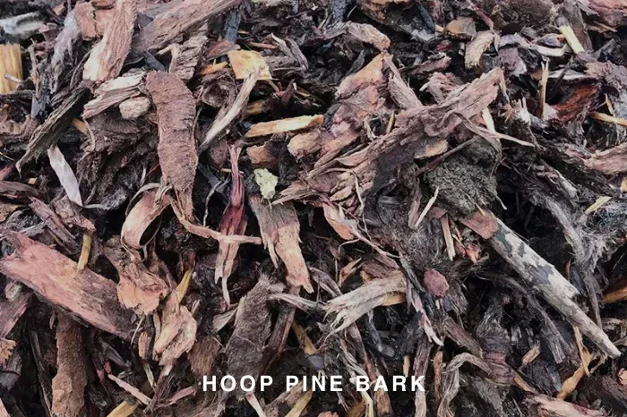 HOOP BARK 25mm