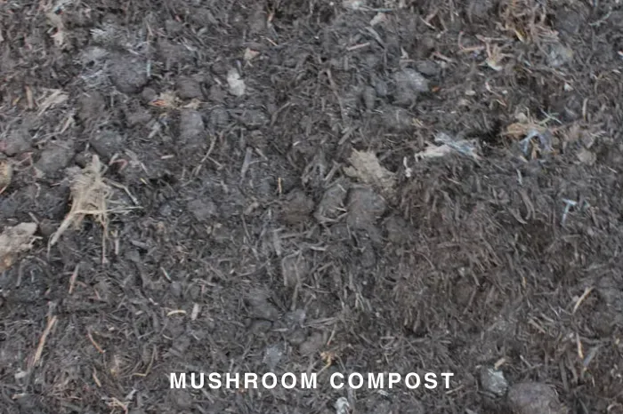 MUSHROOM COMPOST