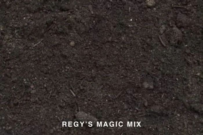 REGY'S MAGIC MIX