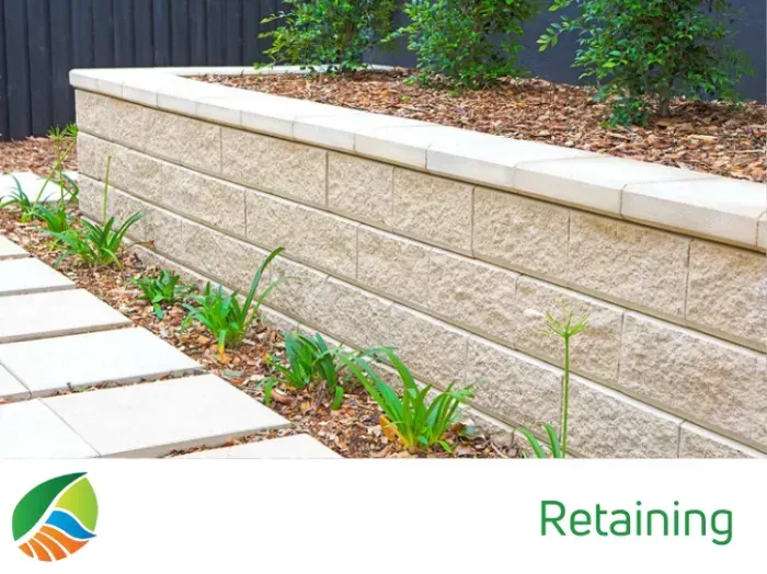 A close up of a stone wall with a plant in the background