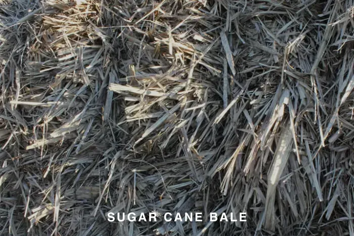 SUGAR CANE BALES