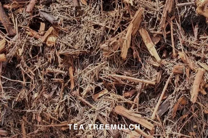 TEA TREE MULCH