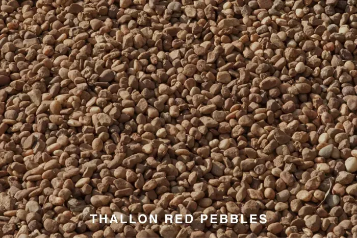 THALLON RED PEBBLE
