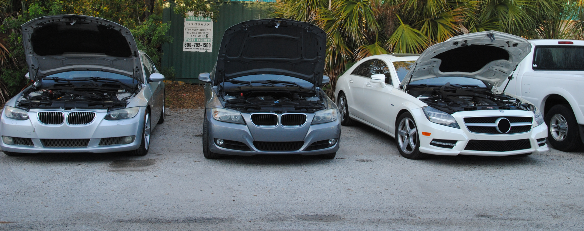 Vehicles We Service in Tampa, FL | Twilight Auto Repair