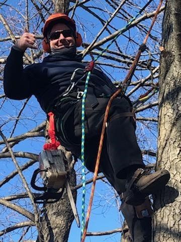 Brad Johnson Climber — Ludlow, IL — Johnson Tree Care