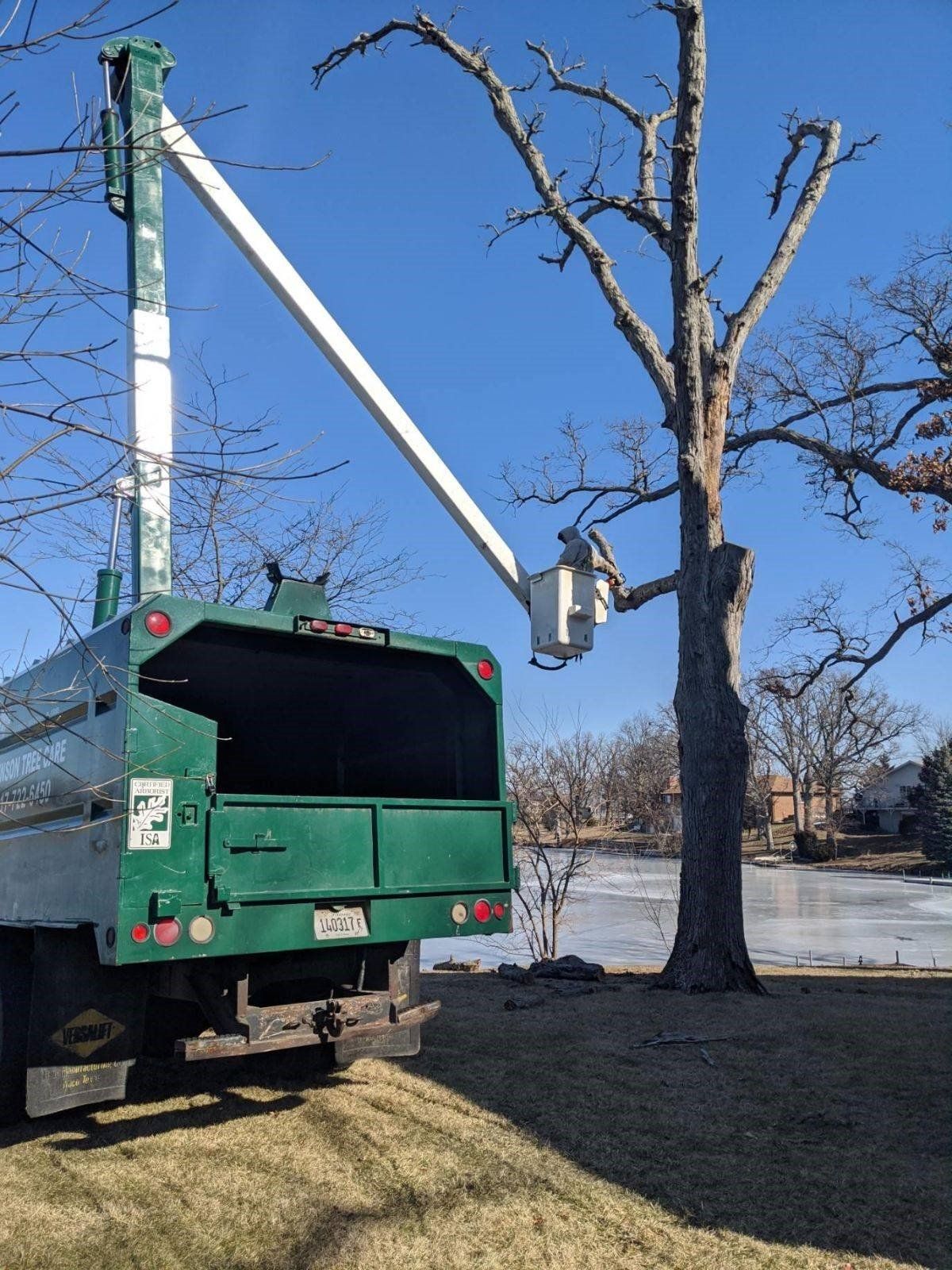 Safe Tree Equipment — Ludlow, IL — Johnson Tree Care