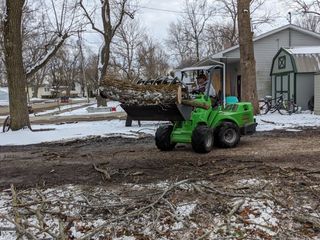 Tree Clean Up — Ludlow, IL — Johnson Tree Care
