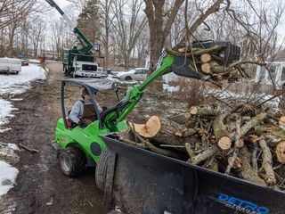 Tree Removal — Ludlow, IL — Johnson Tree Care