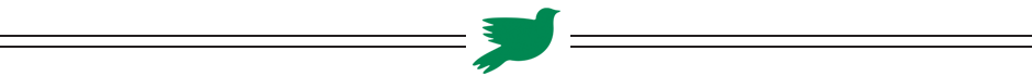 Thin horizontal gray lines with a small green bird icon centered between them