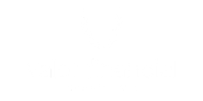Valor Financial