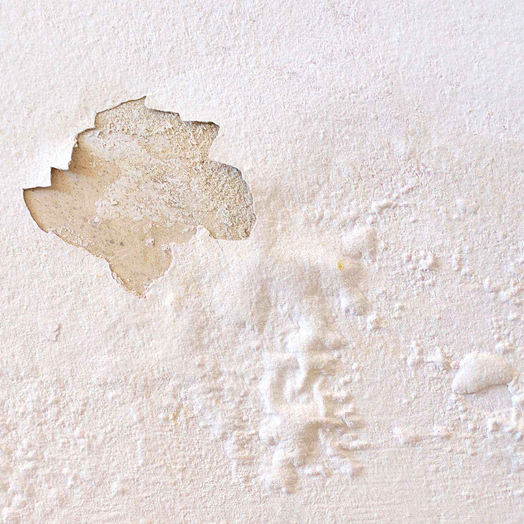 Photo of a Water Spot on the ceiling- a key indicator of a water leak in your home. 