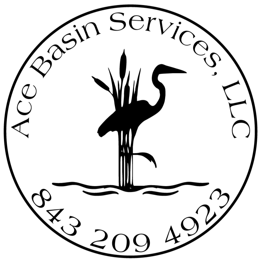 Ace Basin Services