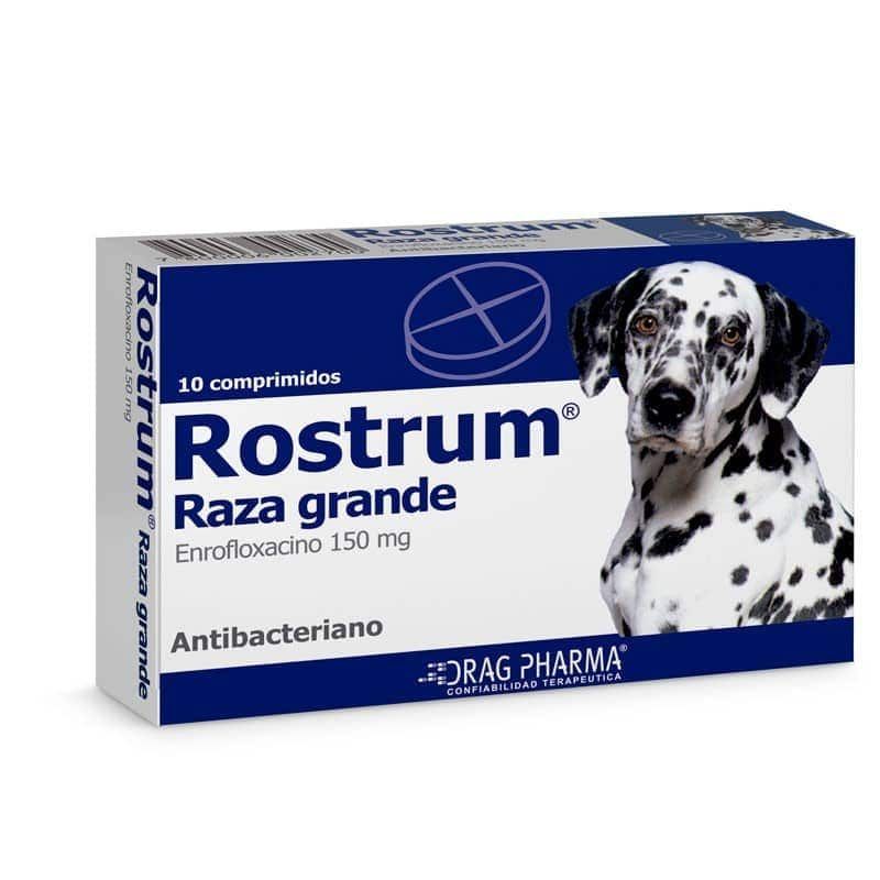 Rostrum Raza Grande Comprimidos