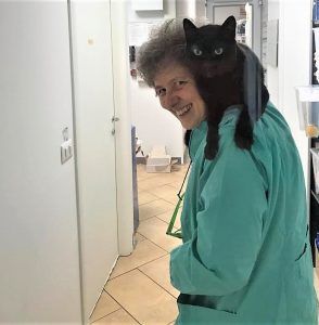 clinica veterinaria spinnato