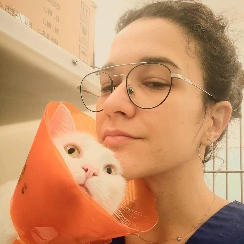 clinica veterinaria spinnato - ipertiroidismo del gatto