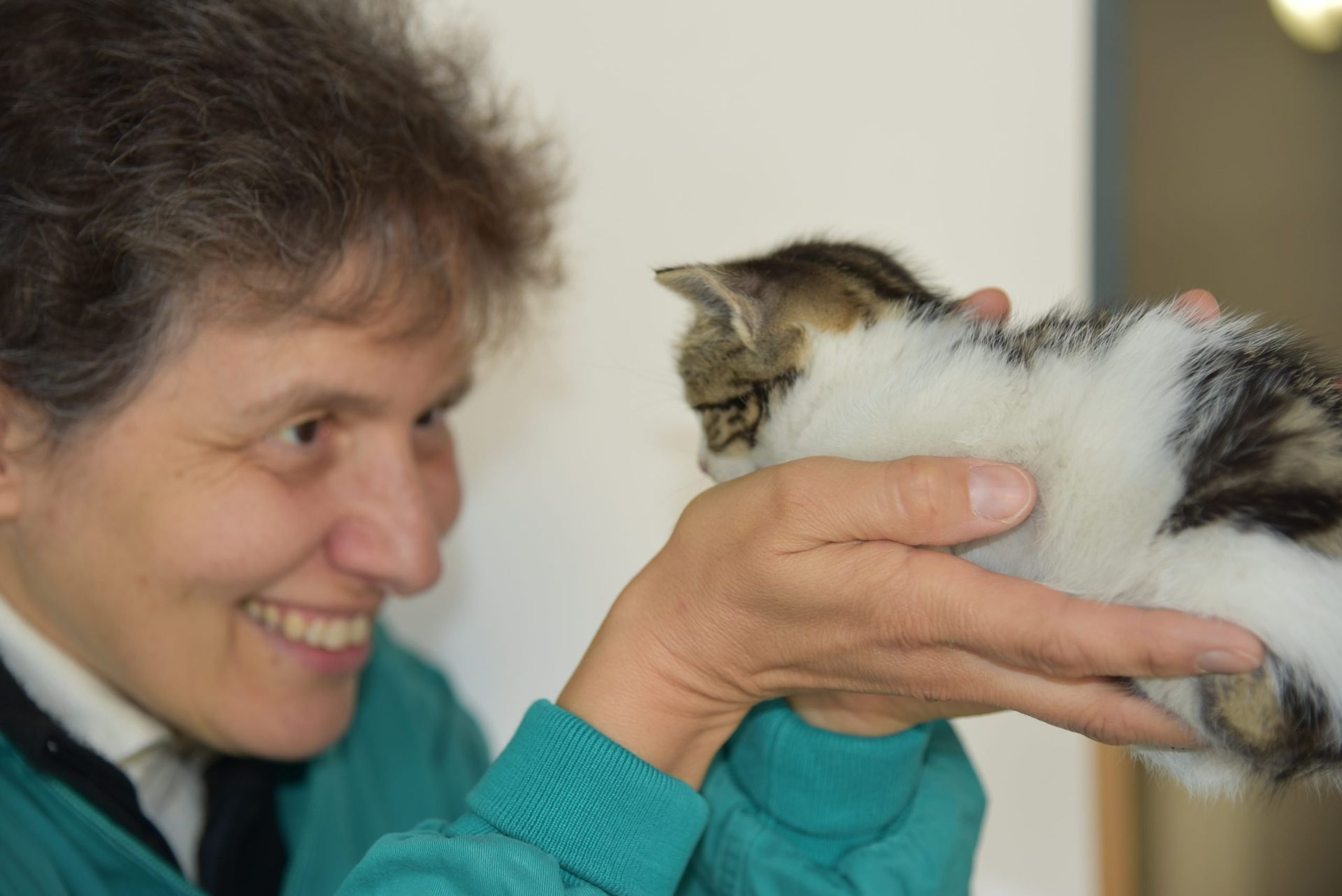 clinica veterinaria spinnato