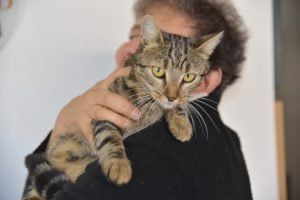 clinica veterinaria spinnato